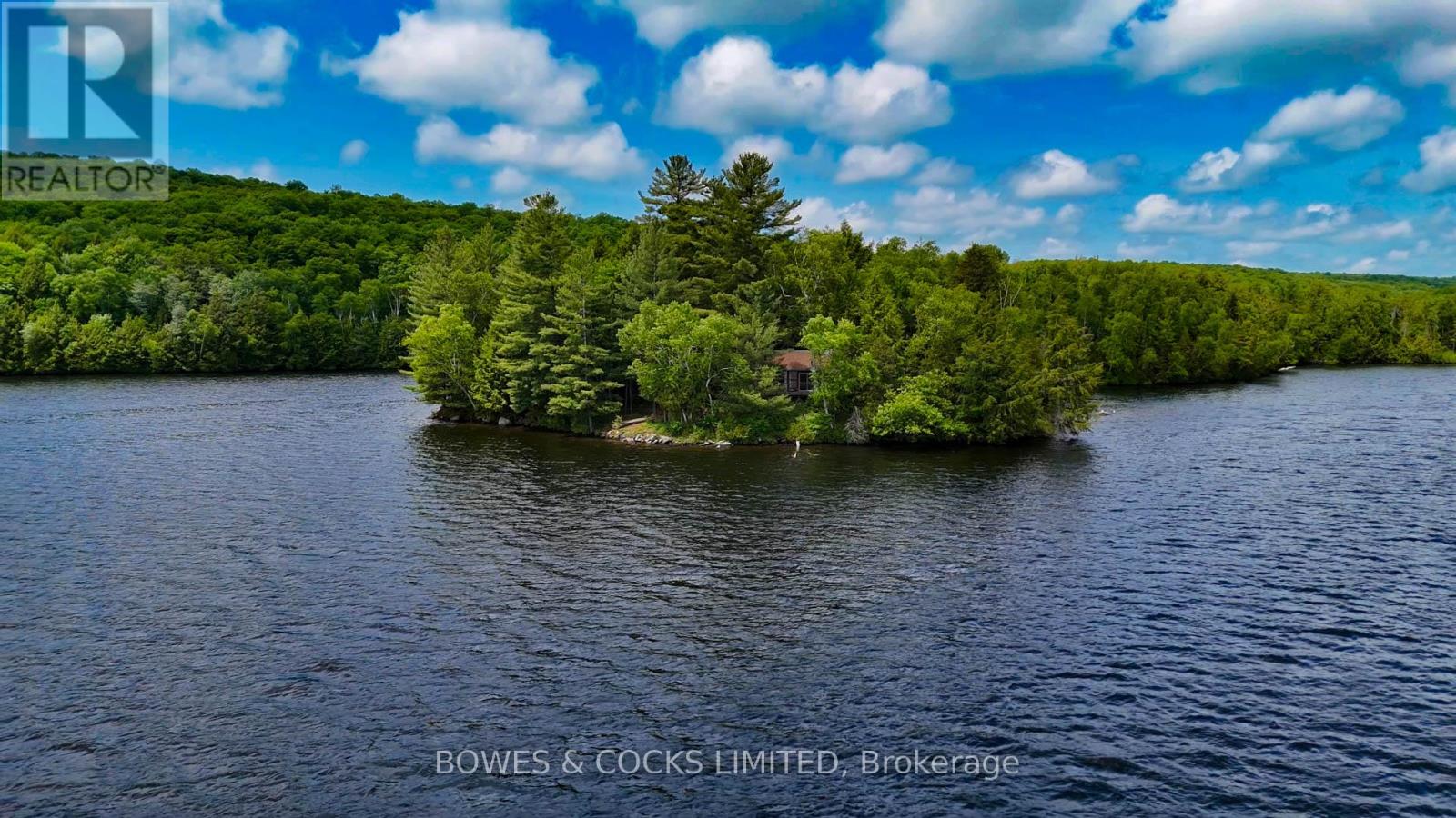 1117 Thunderbird Lane, Birch Island, Highlands East (Bicroft Ward), Ontario  K0L 1M0 - Photo 22 - X12242261