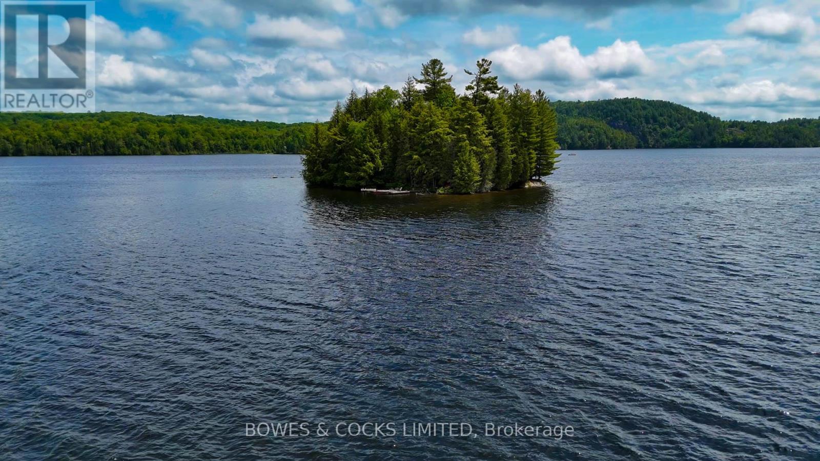 1117 Thunderbird Lane, Birch Island, Highlands East (Bicroft Ward), Ontario  K0L 1M0 - Photo 25 - X12242261