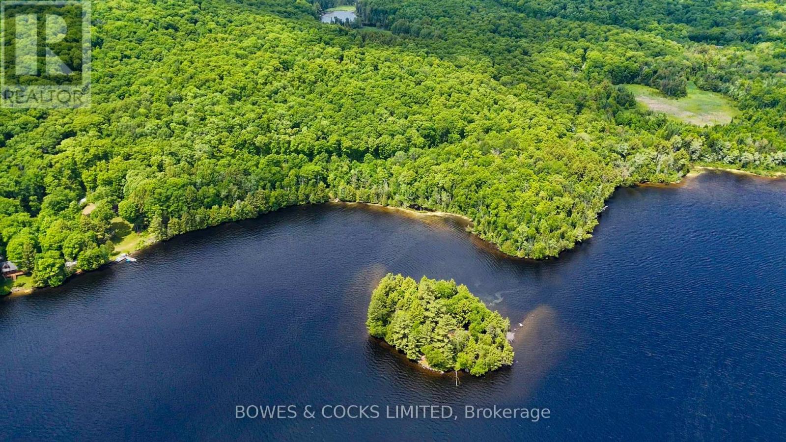 1117 Thunderbird Lane, Birch Island, Highlands East (Bicroft Ward), Ontario  K0L 1M0 - Photo 49 - X12242261