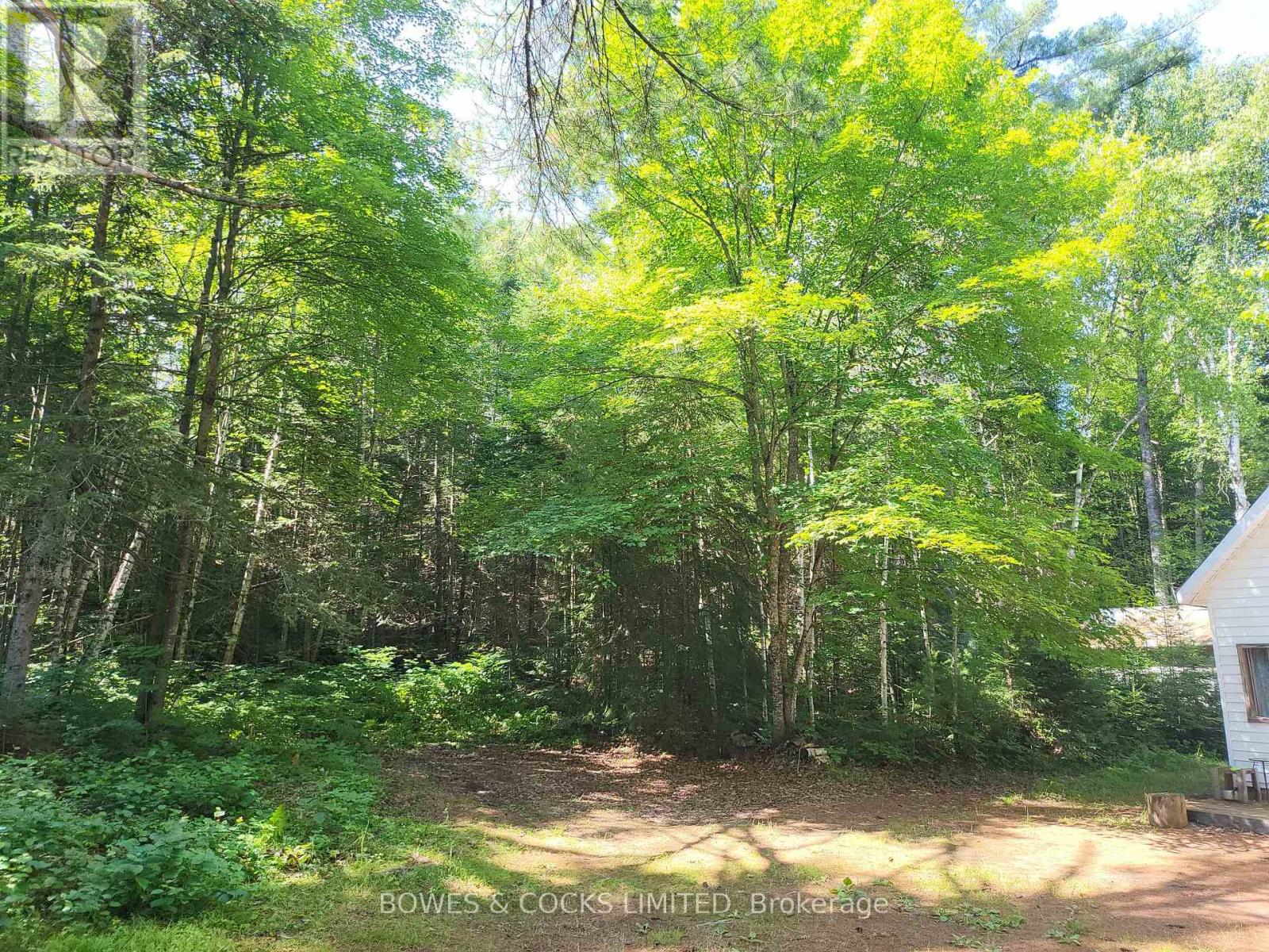 24 Robinson Road, Hastings Highlands (Monteagle Ward), Ontario  K0L 2S0 - Photo 3 - X12243634