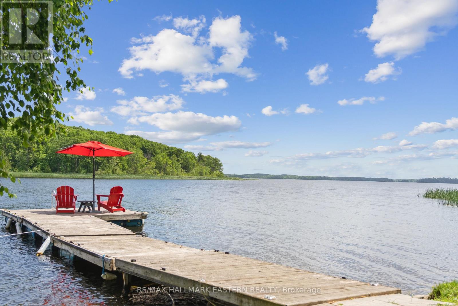652 Rabbit Run Road, Selwyn, Ontario  K0L 1T0 - Photo 34 - X12244407
