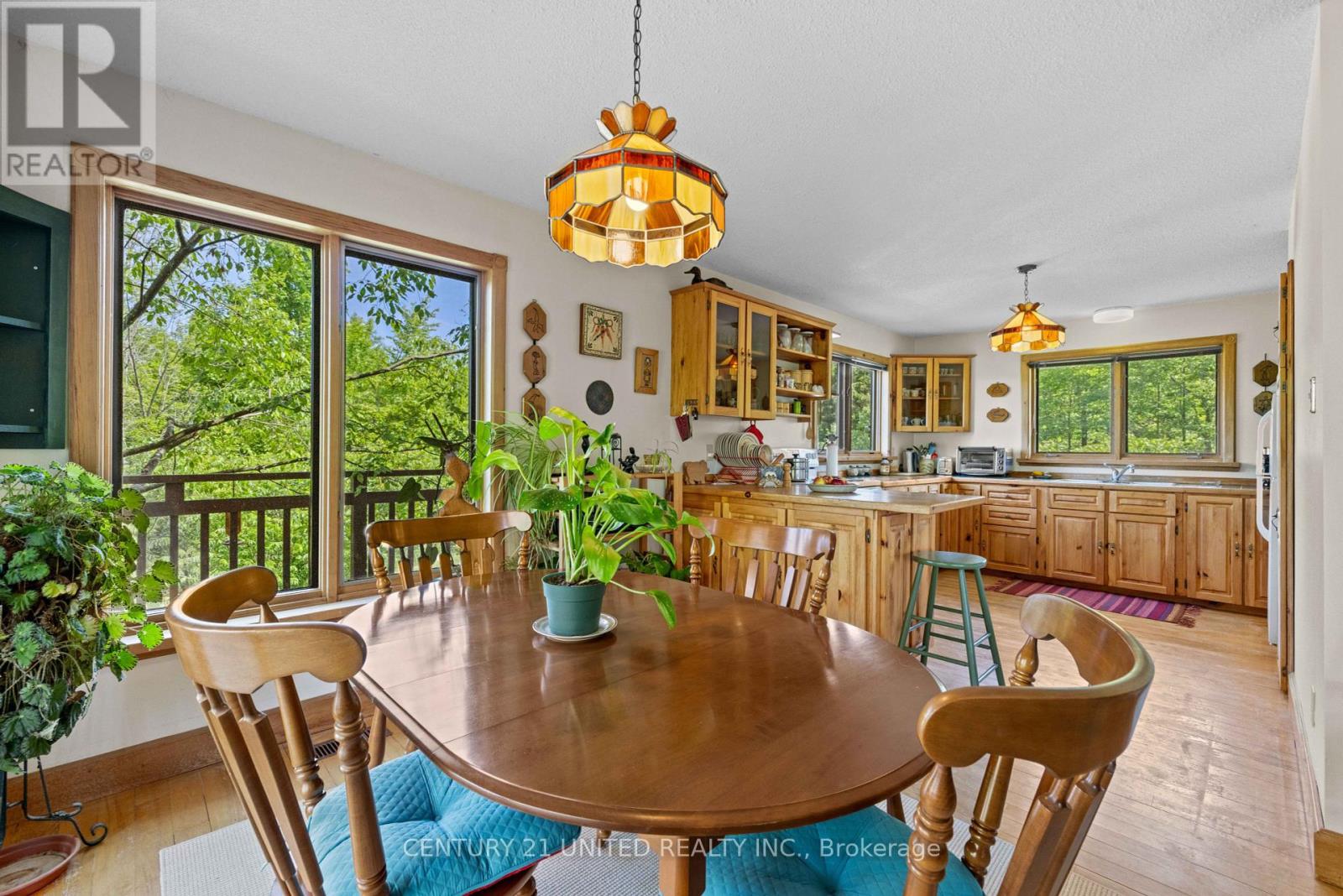 715 Northey's Bay Road, North Kawartha, Ontario  K0L 3E0 - Photo 9 - X12244454
