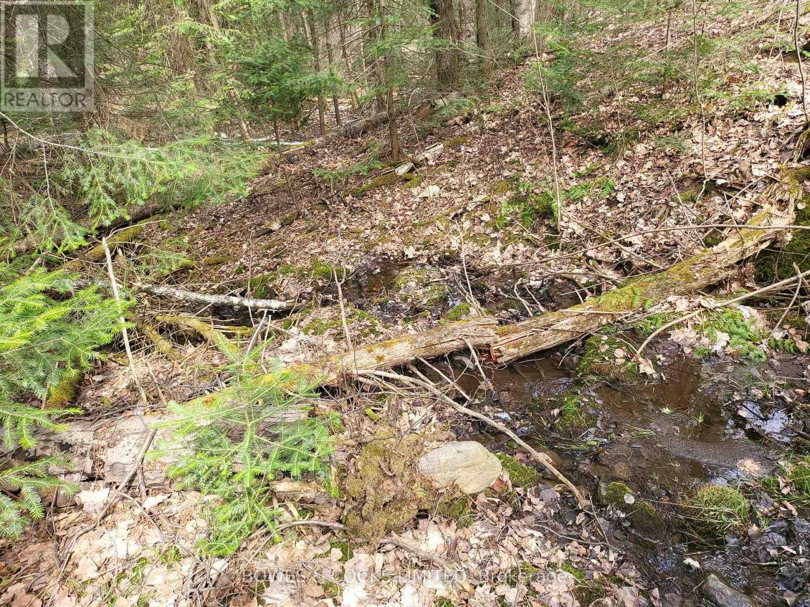 0 Highway 62 N, Hastings Highlands (Monteagle Ward), Ontario  K0L 2S0 - Photo 3 - X12244467