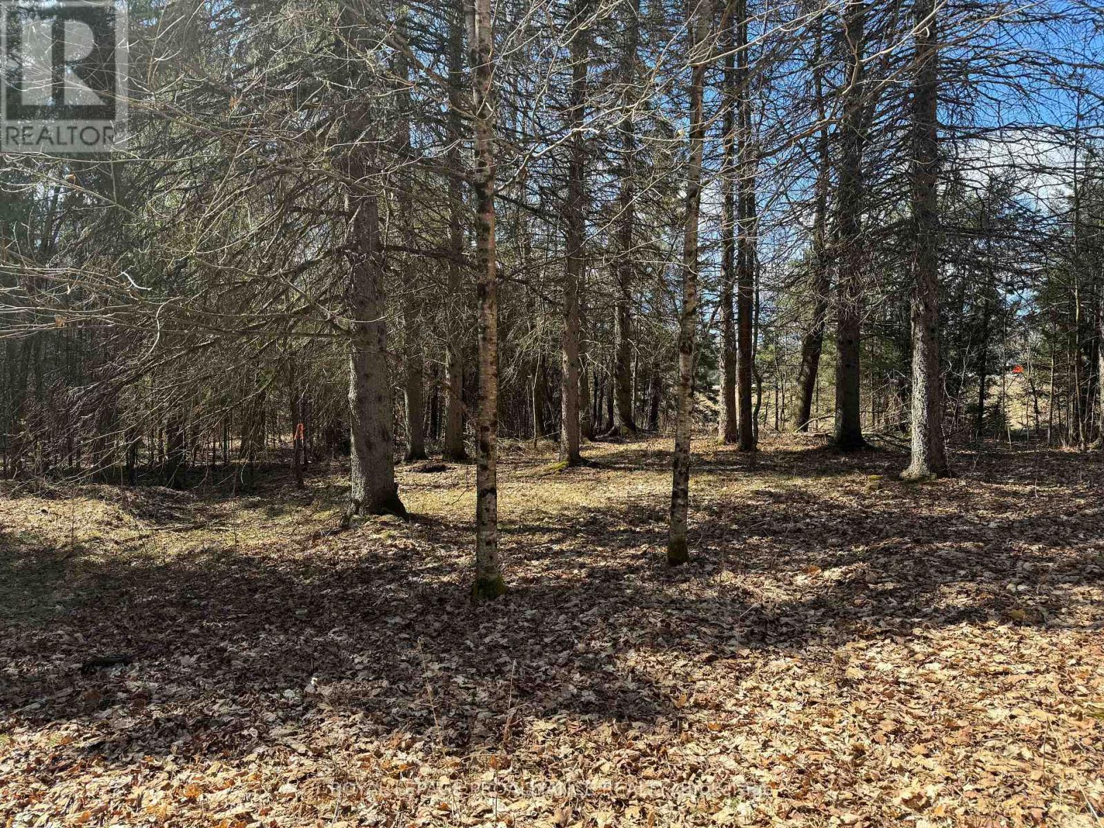 1972 Weslemkoon Lake Road, Tudor And Cashel (Cashel Ward), Ontario  K0L 1W0 - Photo 12 - X12244624