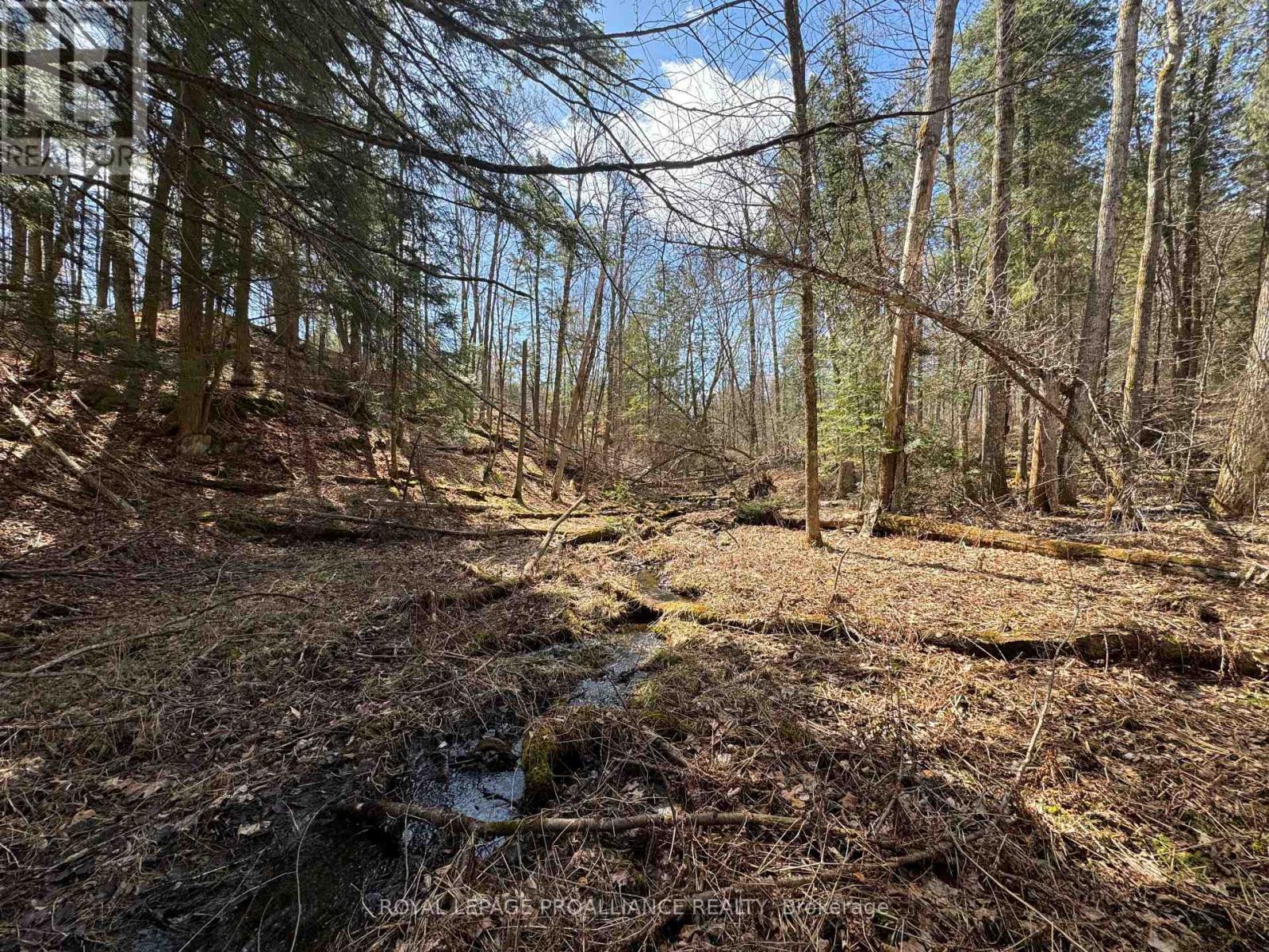 1972 Weslemkoon Lake Road, Tudor And Cashel (Cashel Ward), Ontario  K0L 1W0 - Photo 14 - X12244624