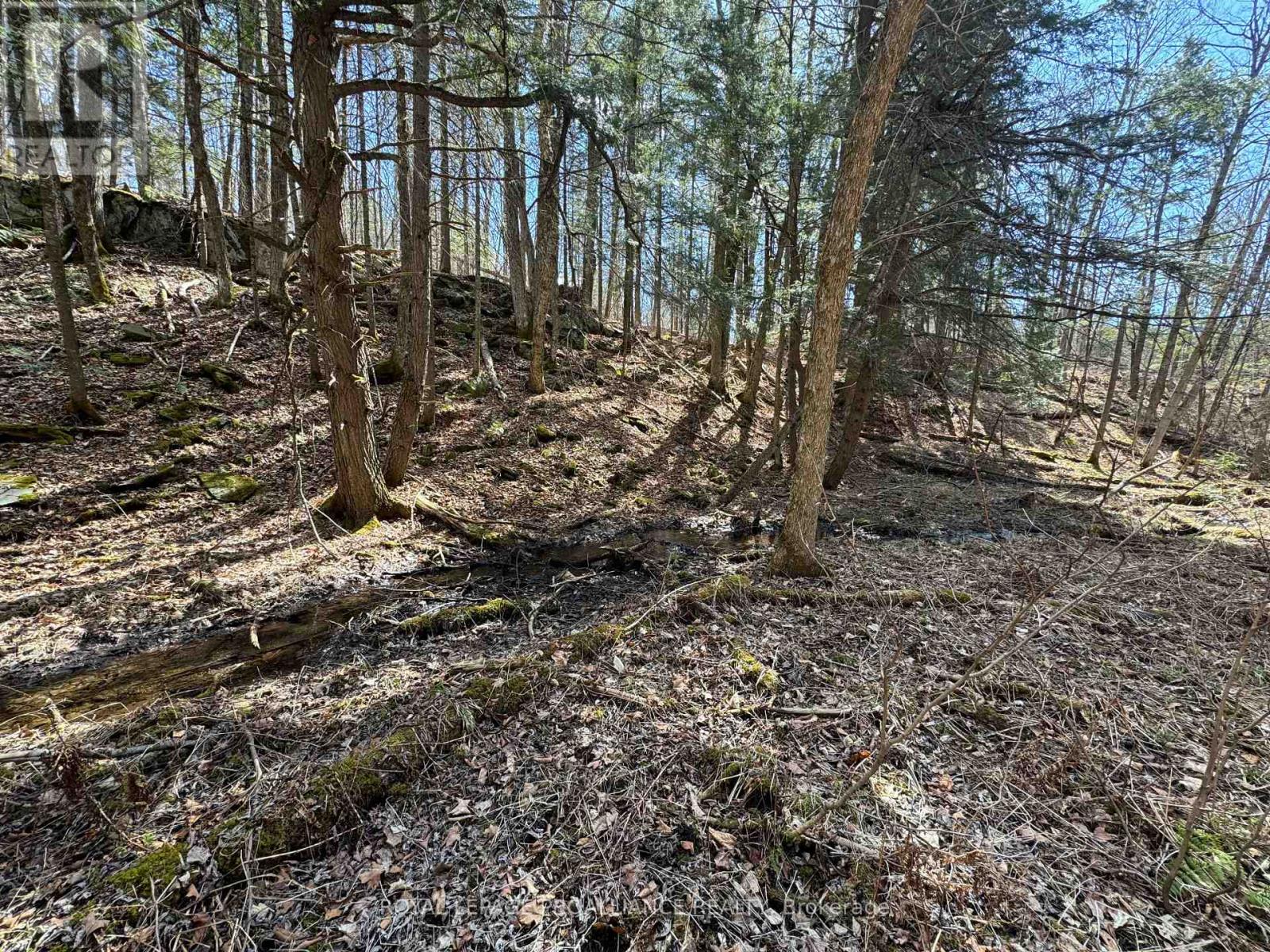 1972 Weslemkoon Lake Road, Tudor And Cashel (Cashel Ward), Ontario  K0L 1W0 - Photo 17 - X12244624
