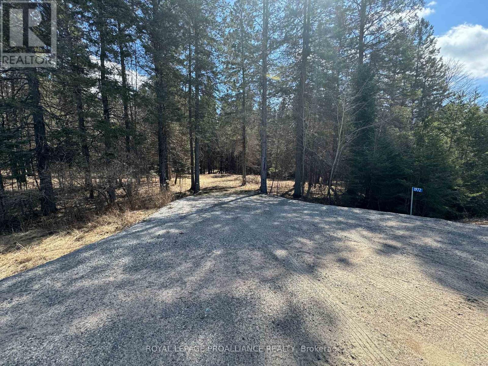1972 Weslemkoon Lake Road, Tudor And Cashel (Cashel Ward), Ontario  K0L 1W0 - Photo 3 - X12244624