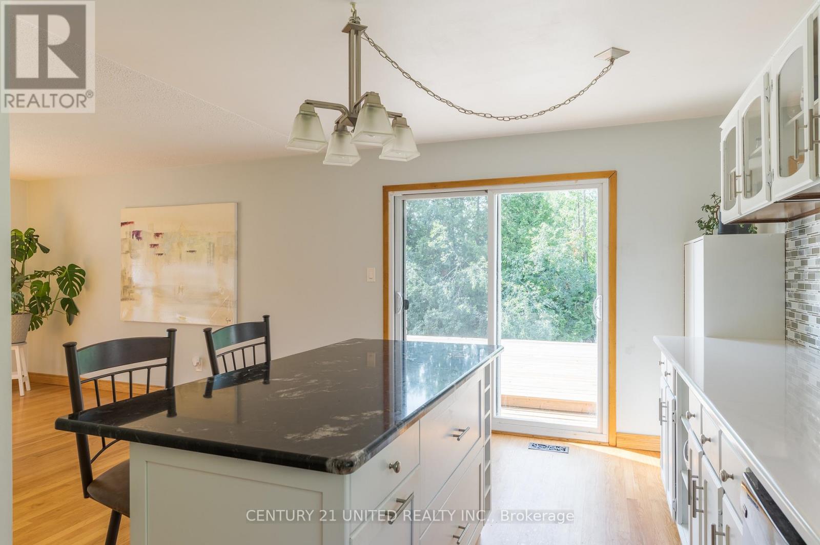 1496 Bradfield Road, Douro-Dummer, Ontario  K9J 6Y1 - Photo 21 - X12246422