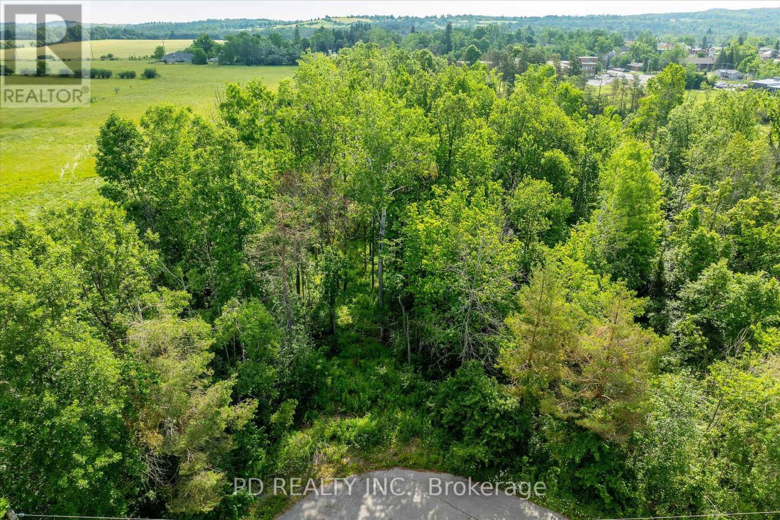 N/a Alma Street N, Kawartha Lakes (Omemee), Ontario  K0L 2W0 - Photo 33 - X12246551