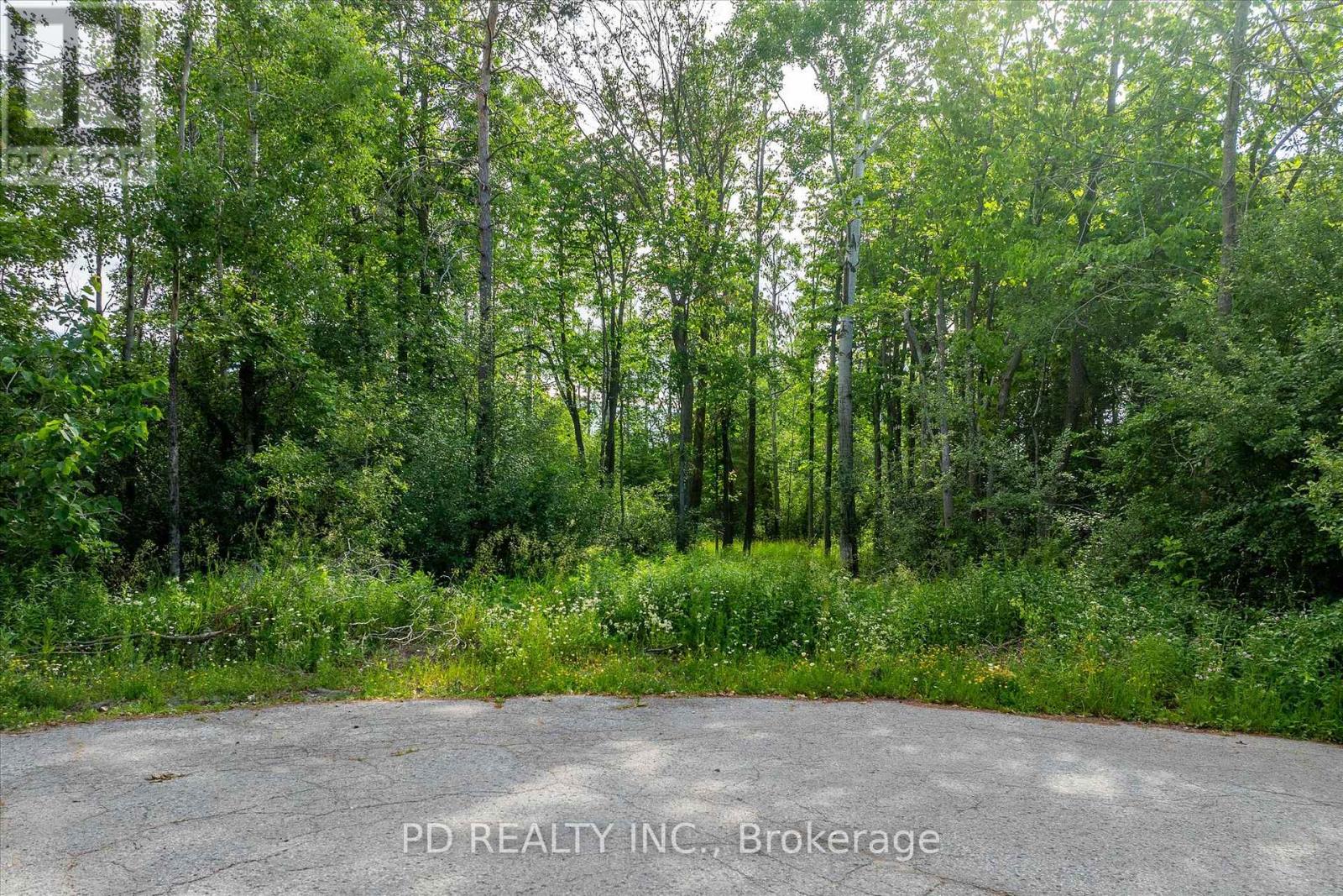 N/a Alma Street N, Kawartha Lakes (Omemee), Ontario  K0L 2W0 - Photo 35 - X12246551