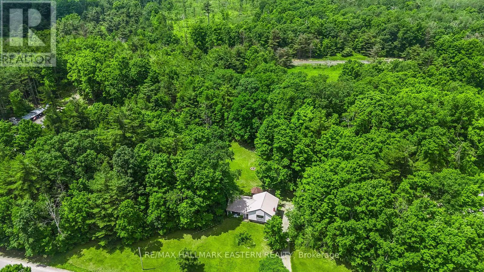 2890 North School Road, Havelock-Belmont-Methuen (Belmont-Methuen), Ontario  K0L 1Z0 - Photo 4 - X12246620