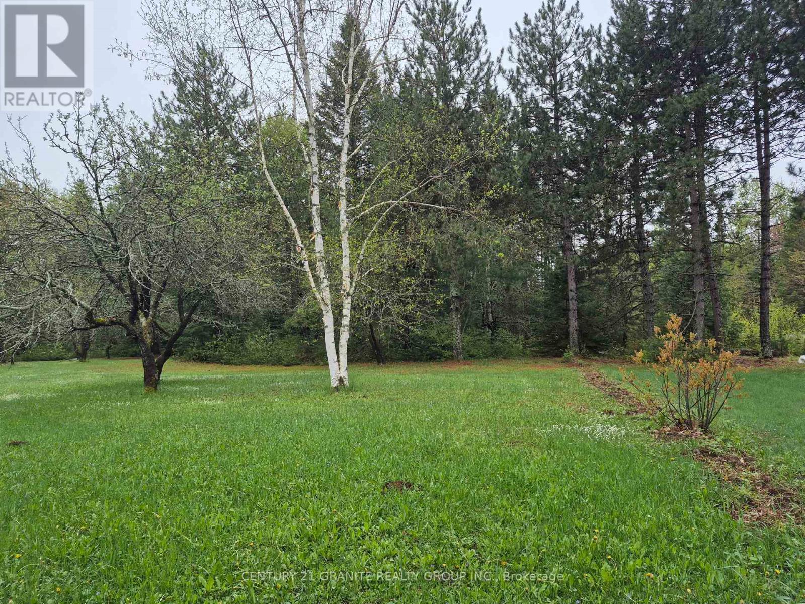 1548 Madawaska Road, Hastings Highlands (Wicklow Ward), Ontario  K0L 2K0 - Photo 37 - X12249129