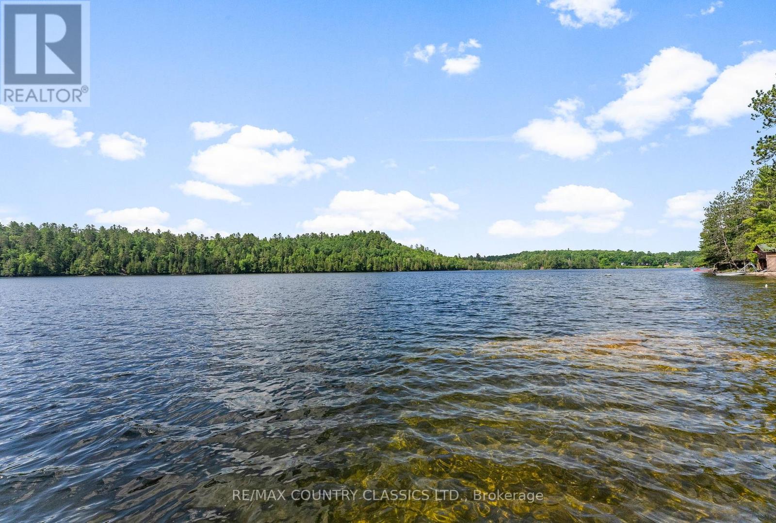 178 Jamieson Lane, Bancroft (Dungannon Ward), Ontario  K0L 2L0 - Photo 16 - X12249143