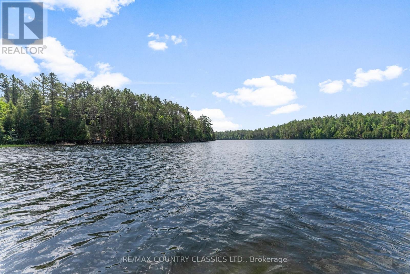 178 Jamieson Lane, Bancroft (Dungannon Ward), Ontario  K0L 2L0 - Photo 17 - X12249143