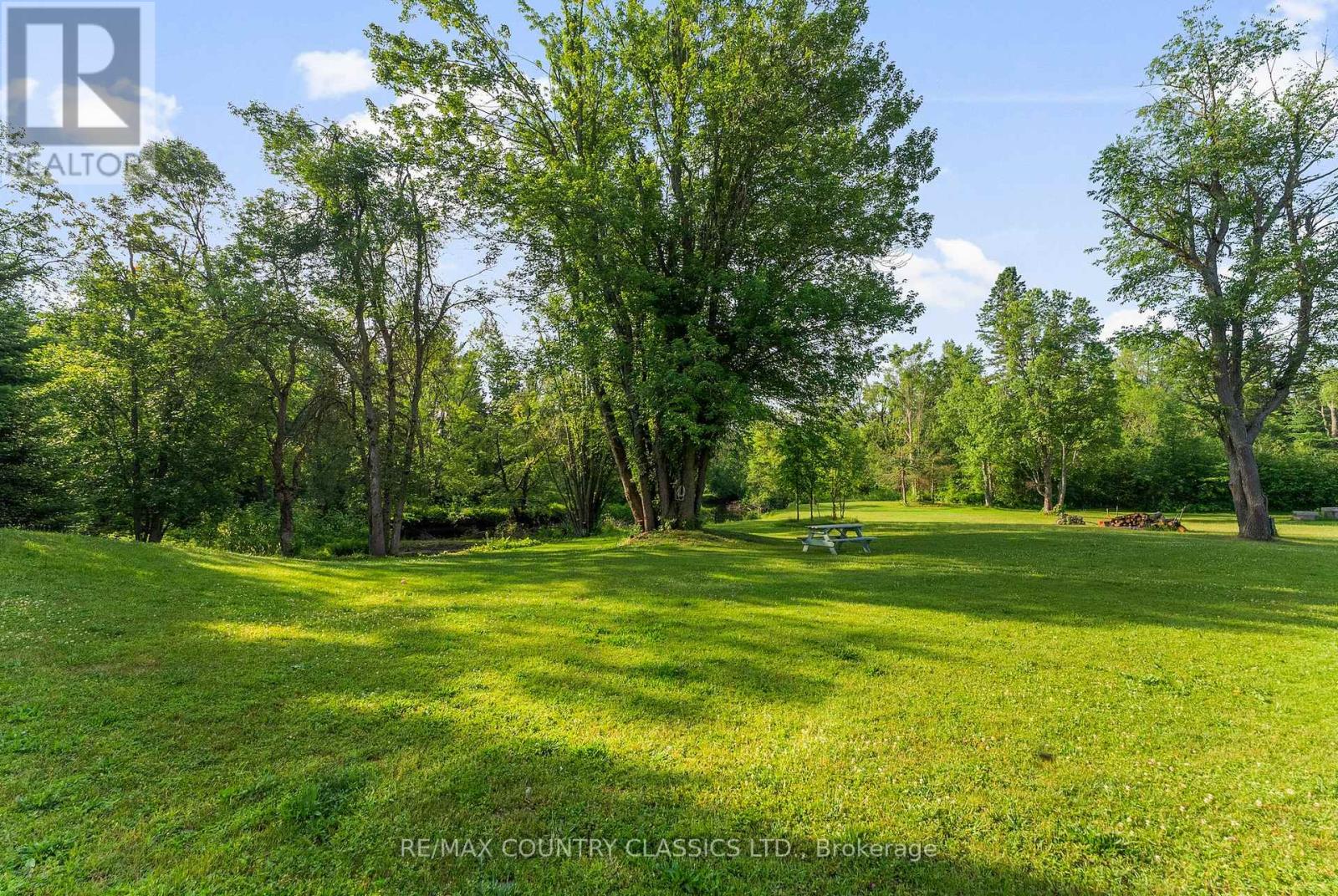 10101 Hwy 28, North Kawartha, Ontario  K0L 1A0 - Photo 47 - X12249150