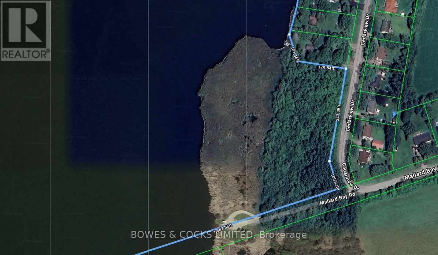 0 Cedarview Drive, Kawartha Lakes (Emily), Ontario  K0L 2W0 - Photo 2 - X12250674