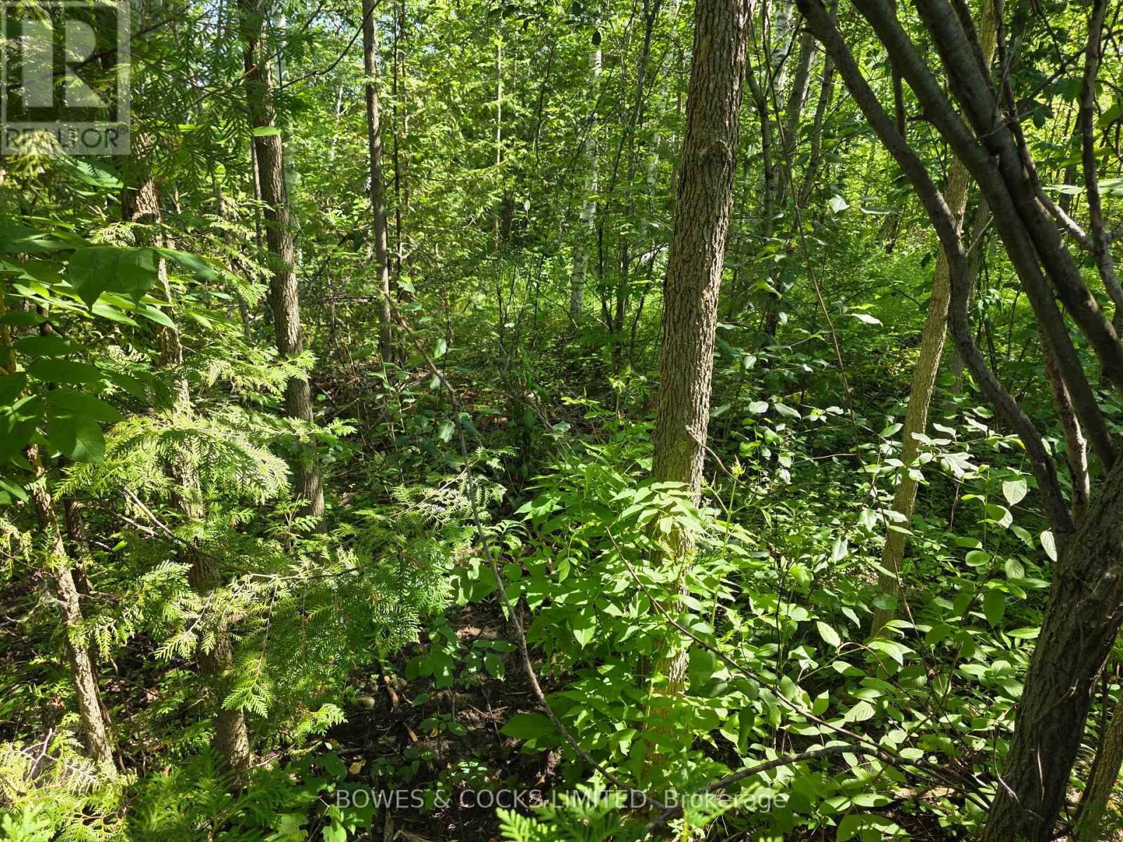 0 Emerald Isle Road, Selwyn, Ontario  K0L 1T0 - Photo 5 - X12250709