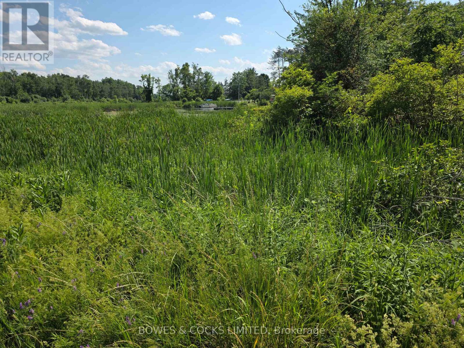 0 Emerald Isle Road, Selwyn, Ontario  K0L 1T0 - Photo 6 - X12250709
