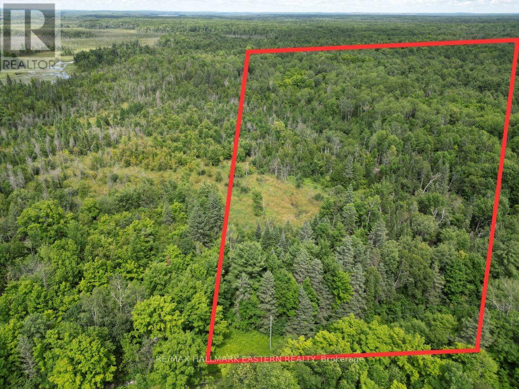N/a 4th Line Belmont, Havelock-Belmont-Methuen (Belmont-Methuen), Ontario  K0L 1Z0 - Photo 2 - X12251023