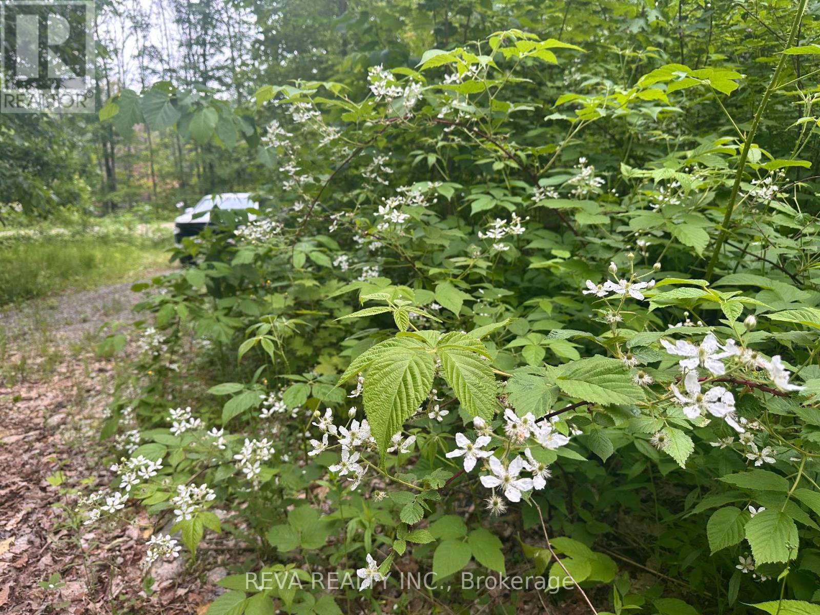 219 Elgin Road, Hastings Highlands (Mcclure Ward), Ontario  K0L 2K0 - Photo 25 - X12252060