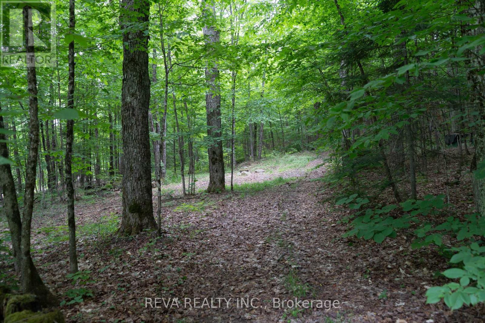 219 Elgin Road, Hastings Highlands (Mcclure Ward), Ontario  K0L 2K0 - Photo 3 - X12252060