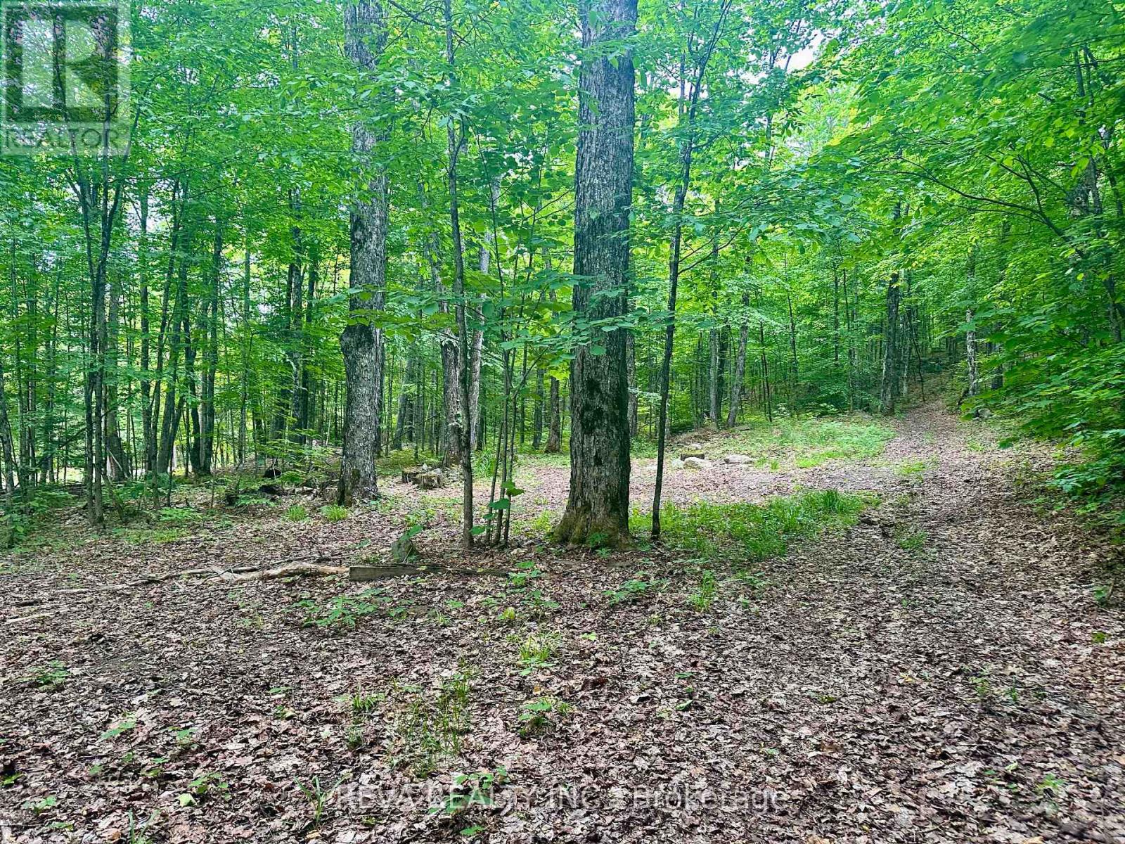 219 Elgin Road, Hastings Highlands (Mcclure Ward), Ontario  K0L 2K0 - Photo 4 - X12252060