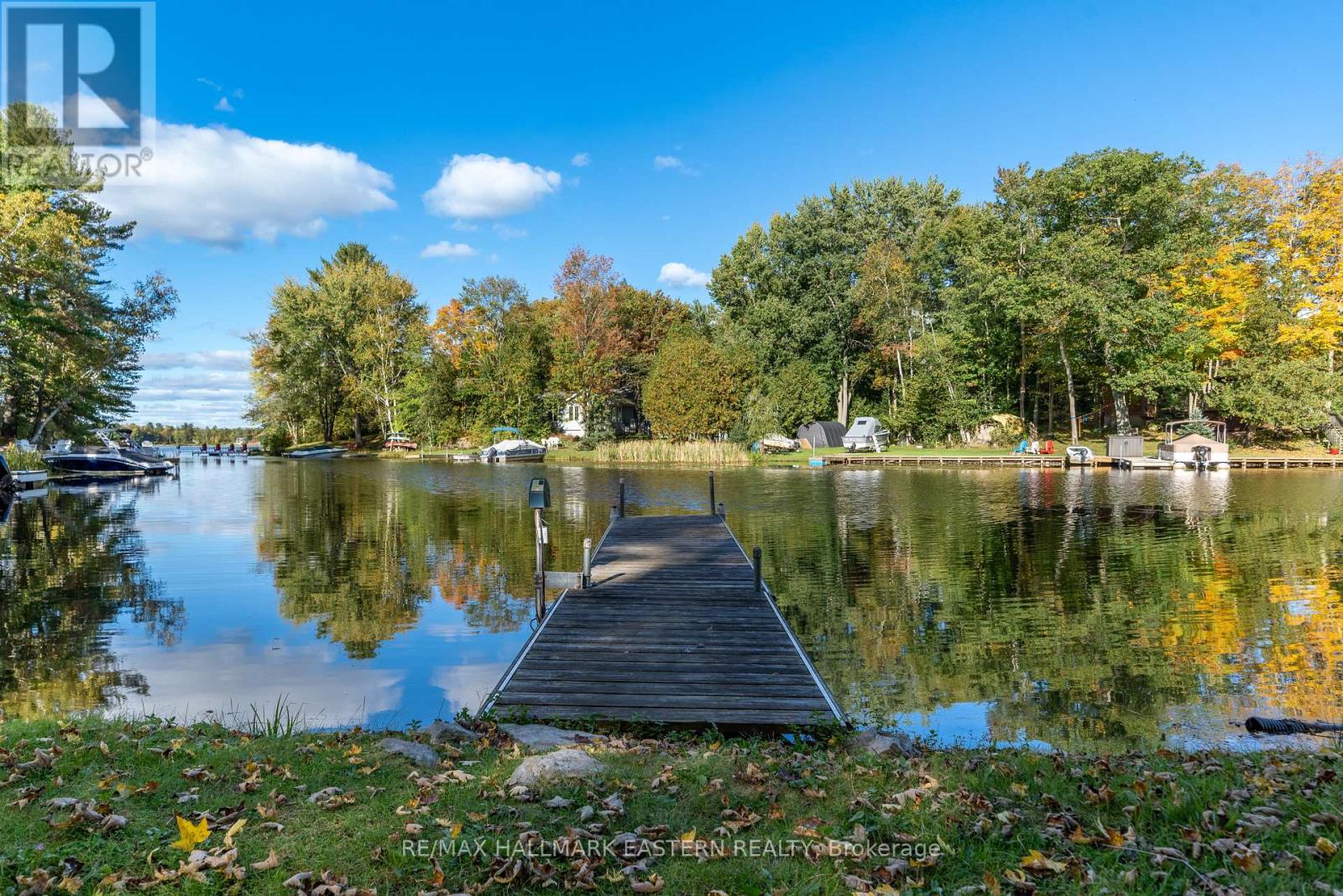 2335 Lakeside Road, Douro-Dummer, Ontario  K0L 2H0 - Photo 3 - X12253023