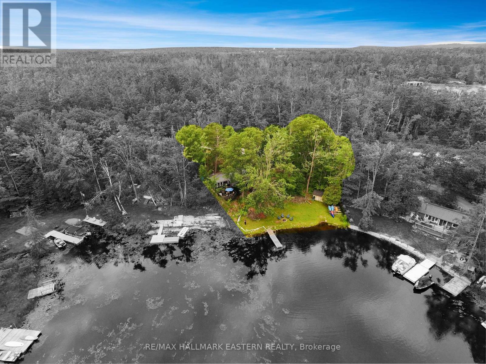 2335 Lakeside Road, Douro-Dummer, Ontario  K0L 2H0 - Photo 7 - X12253023