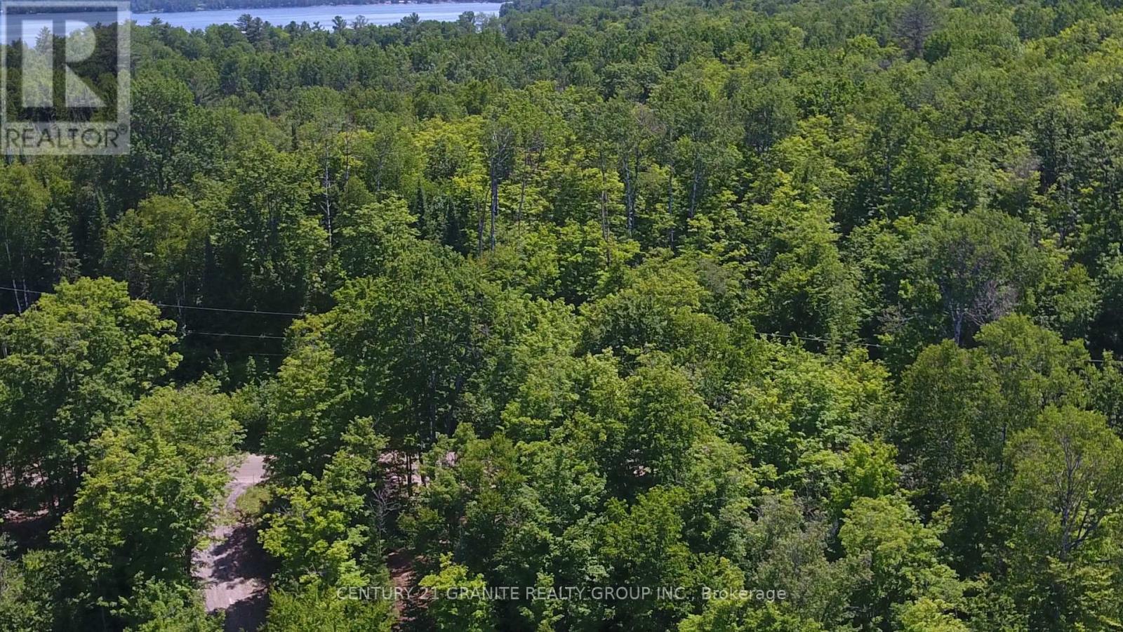 1536 Papineau Lake Road, Hastings Highlands (Wicklow Ward), Ontario  K0L 2R0 - Photo 37 - X12253285