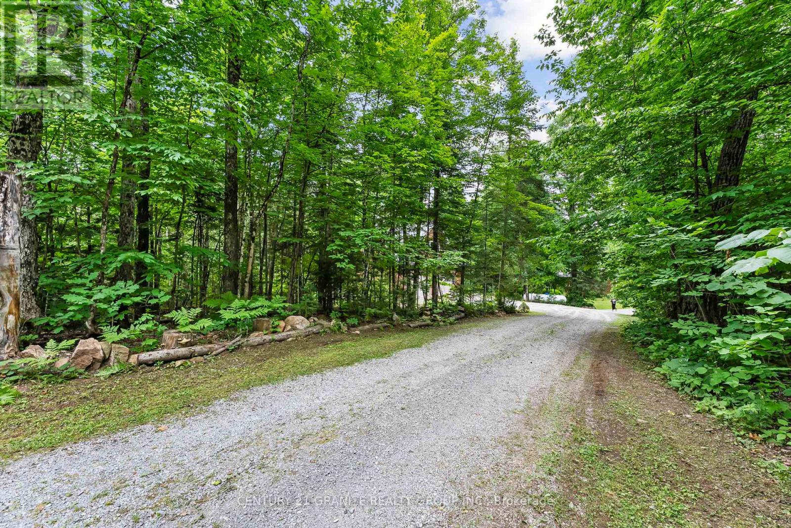 49 Fire Route 73 C, North Kawartha, Ontario  K0L 1A0 - Photo 42 - X12253292