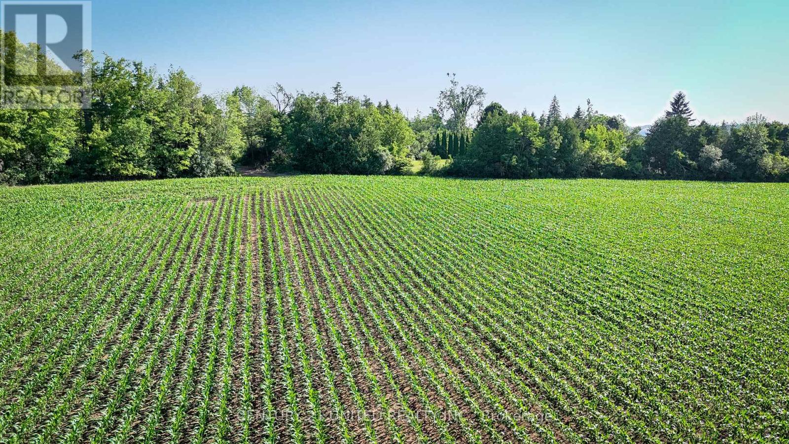 0 Selwyn Road, Selwyn, Ontario  K9J 6X5 - Photo 12 - X12253707