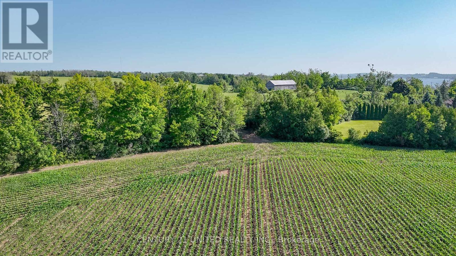 0 Selwyn Road, Selwyn, Ontario  K9J 6X5 - Photo 13 - X12253707