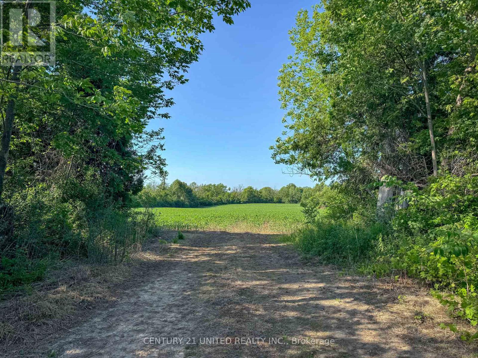 0 Selwyn Road, Selwyn, Ontario  K9J 6X5 - Photo 14 - X12253707