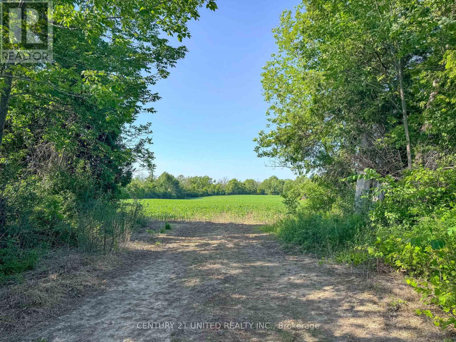 0 Selwyn Road, Selwyn, Ontario  K9J 6X5 - Photo 15 - X12253707