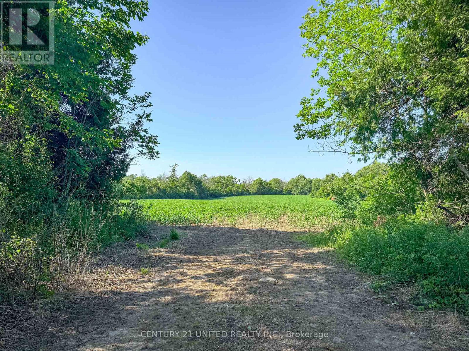 0 Selwyn Road, Selwyn, Ontario  K9J 6X5 - Photo 16 - X12253707