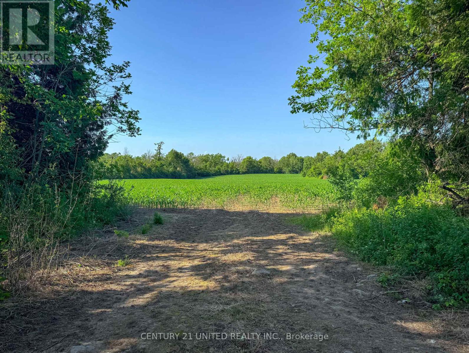 0 Selwyn Road, Selwyn, Ontario  K9J 6X5 - Photo 17 - X12253707