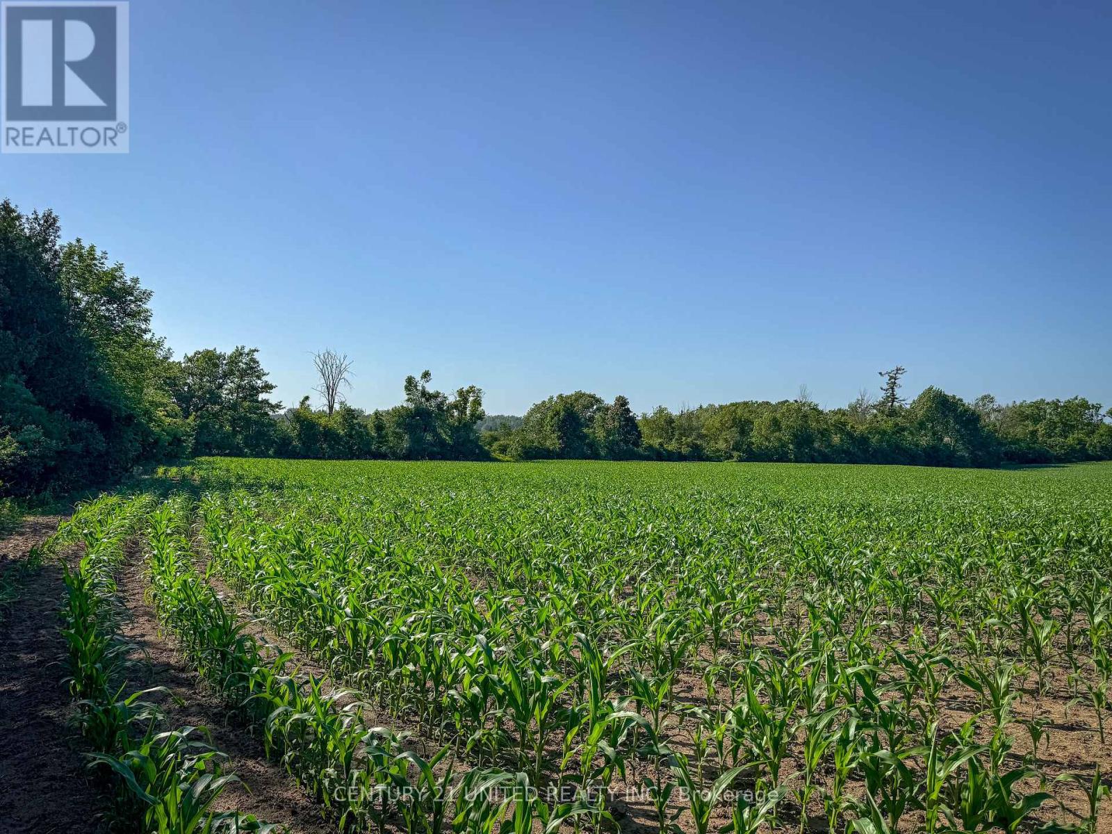 0 Selwyn Road, Selwyn, Ontario  K9J 6X5 - Photo 18 - X12253707