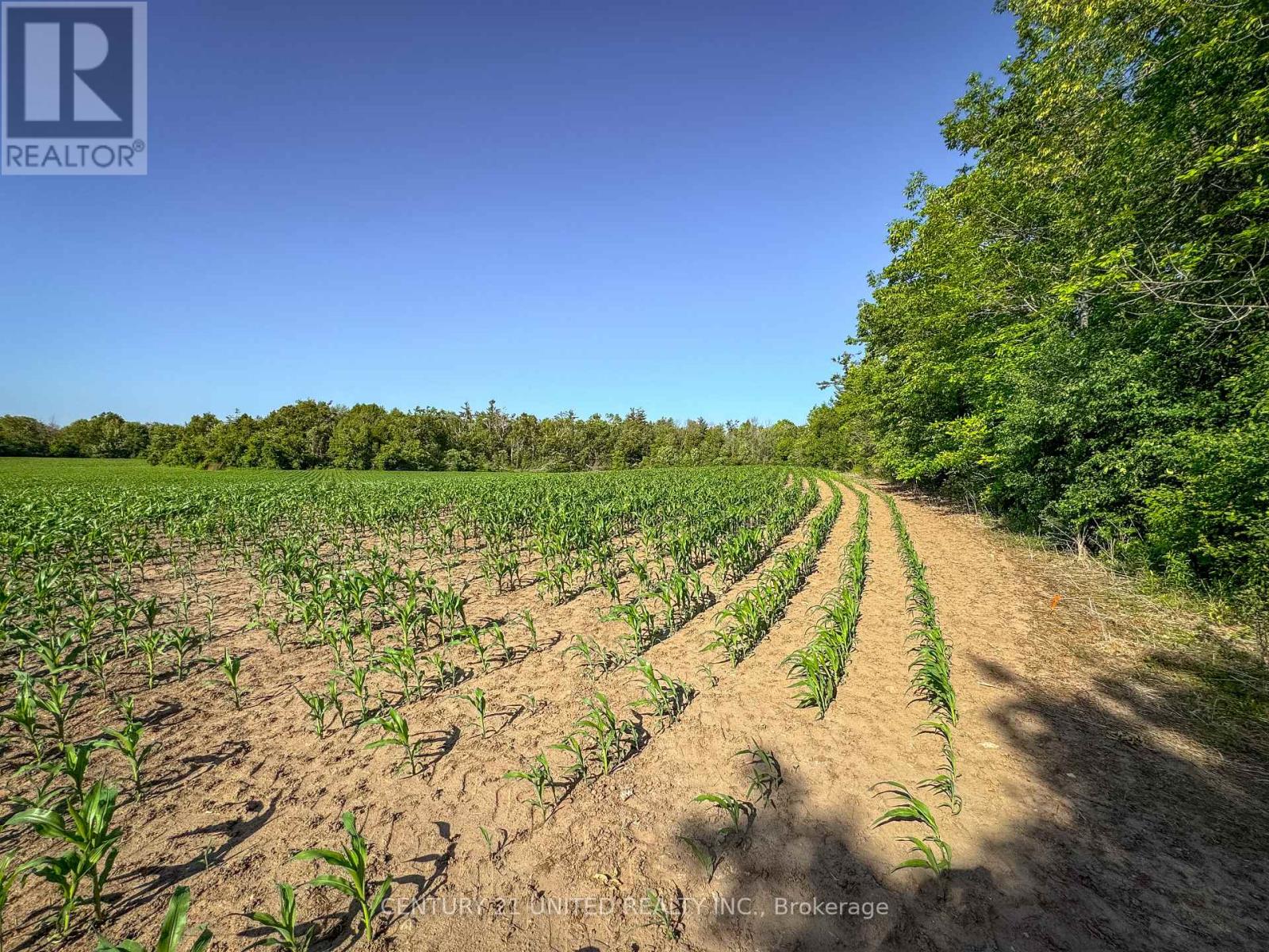 0 Selwyn Road, Selwyn, Ontario  K9J 6X5 - Photo 19 - X12253707
