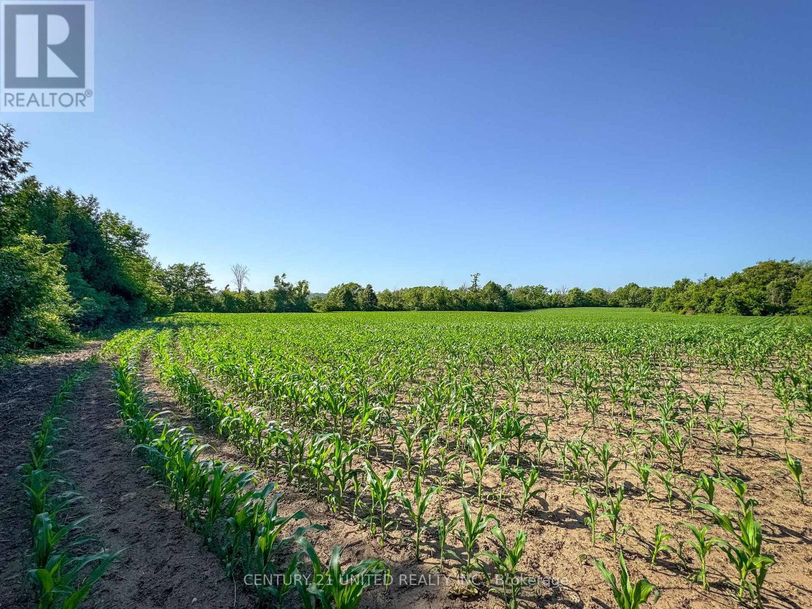 0 Selwyn Road, Selwyn, Ontario  K9J 6X5 - Photo 20 - X12253707