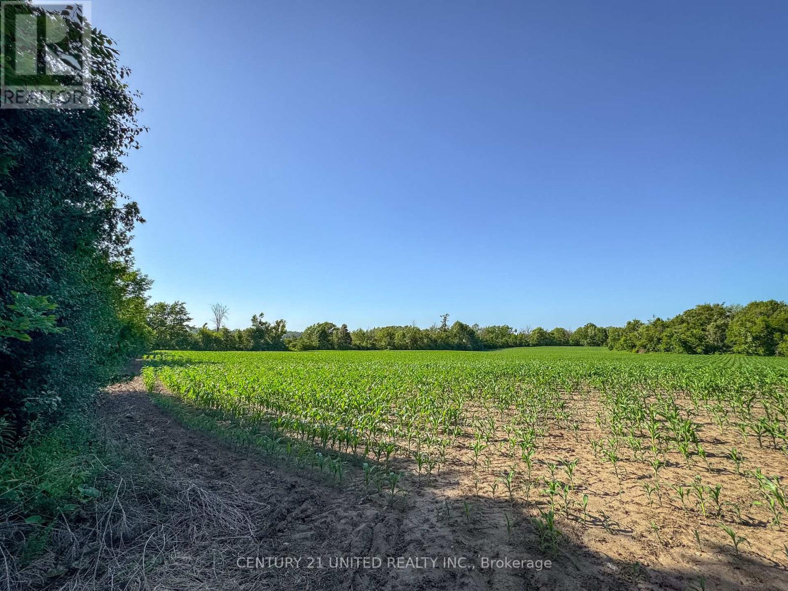 0 Selwyn Road, Selwyn, Ontario  K9J 6X5 - Photo 21 - X12253707