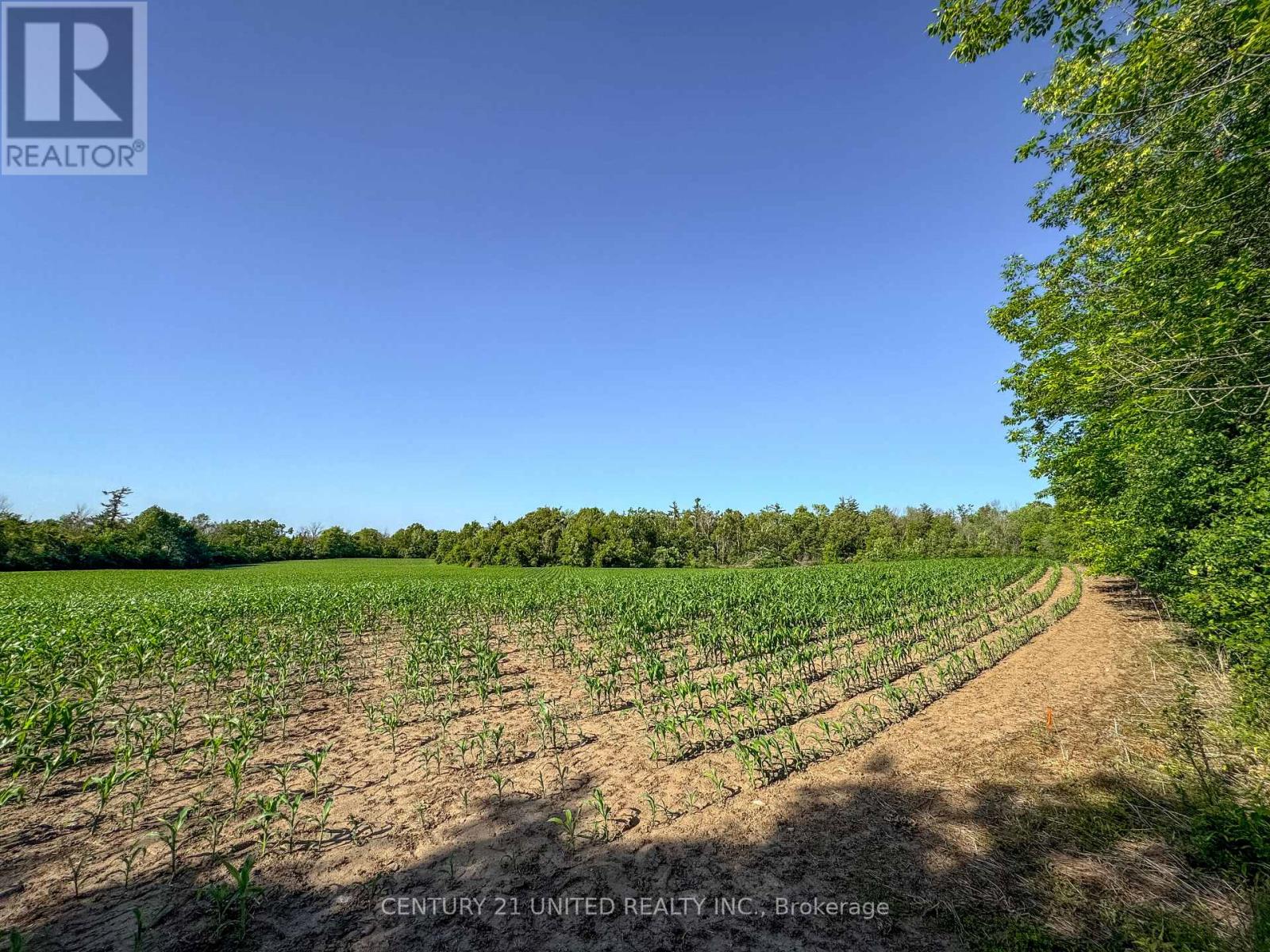0 Selwyn Road, Selwyn, Ontario  K9J 6X5 - Photo 22 - X12253707