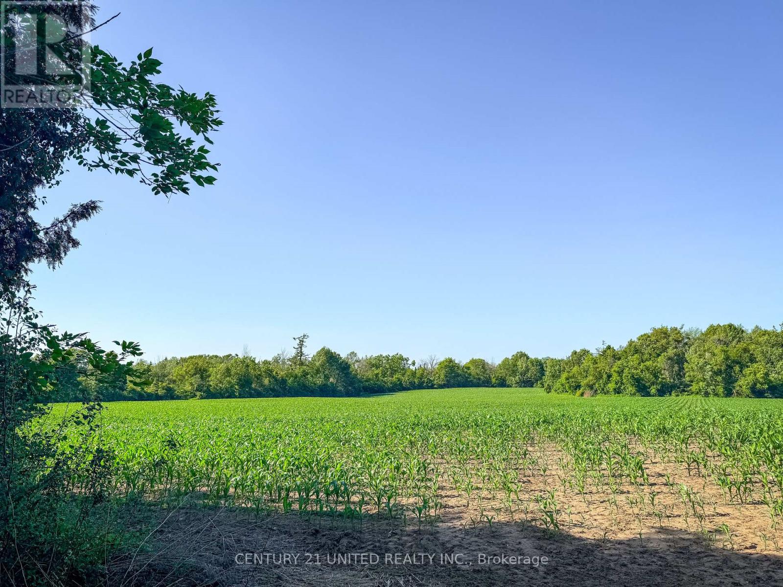 0 Selwyn Road, Selwyn, Ontario  K9J 6X5 - Photo 23 - X12253707