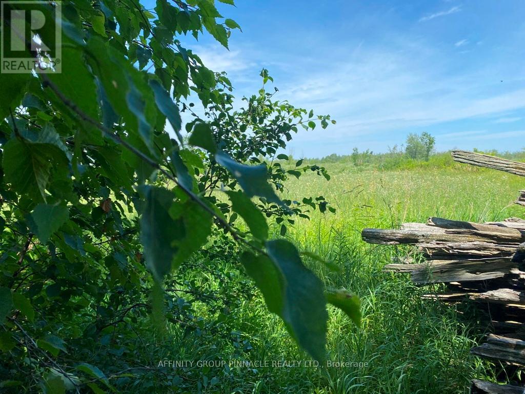 401 Cheese Factory Road, Kawartha Lakes (Lindsay), Ontario  K9V 4R3 - Photo 44 - X12255075