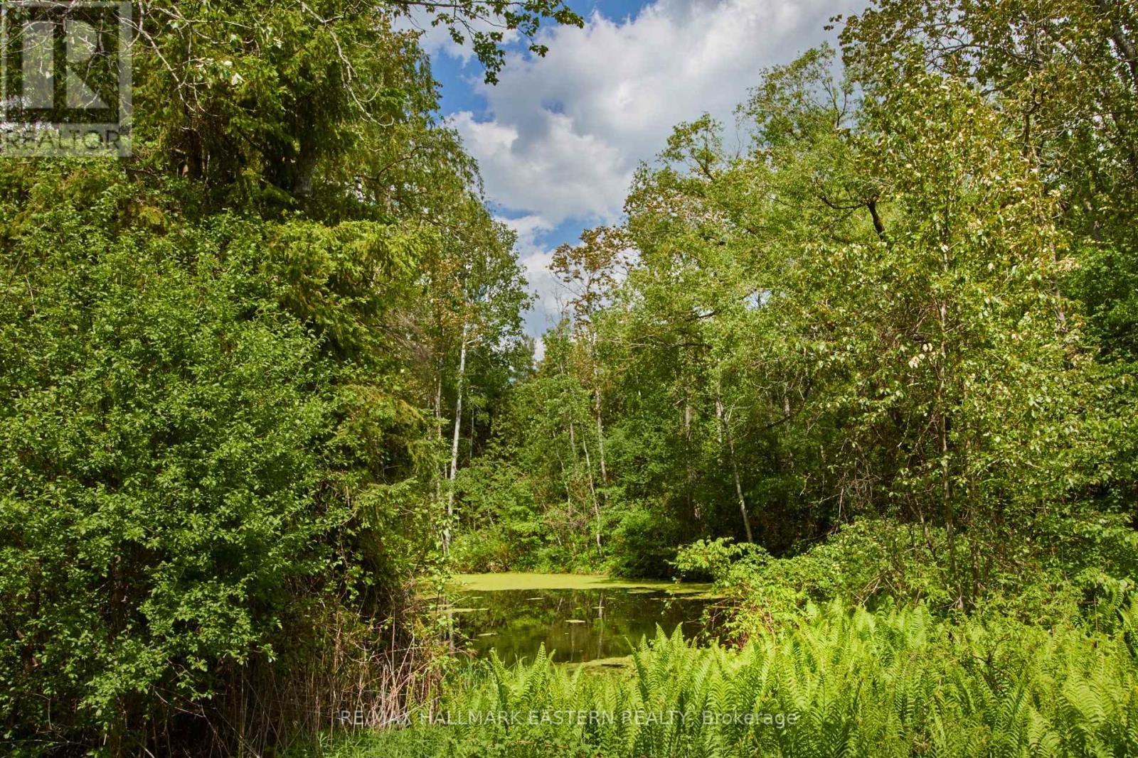 664 Syer Line, Cavan Monaghan (Cavan Twp), Ontario  K0L 1V0 - Photo 5 - X12255139