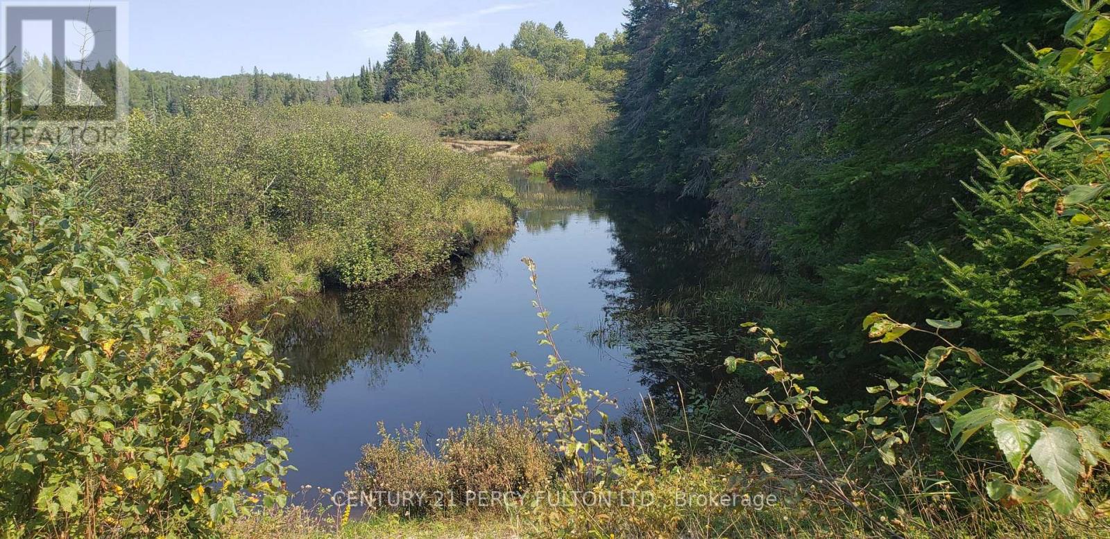 100 B Baragars Road, Hastings Highlands (Mcclure Ward), Ontario  K0L 2K0 - Photo 29 - X12255374