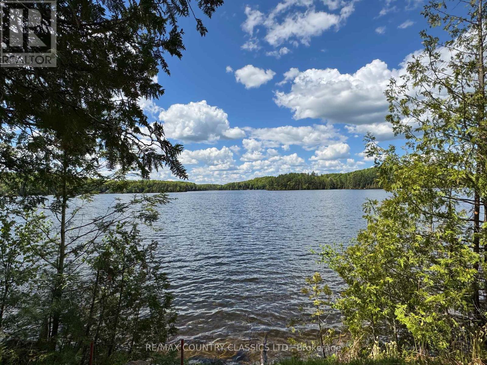 27241 Highway 28 S, Highlands East (Cardiff Ward), Ontario  K0L 1M0 - Photo 6 - X12255924