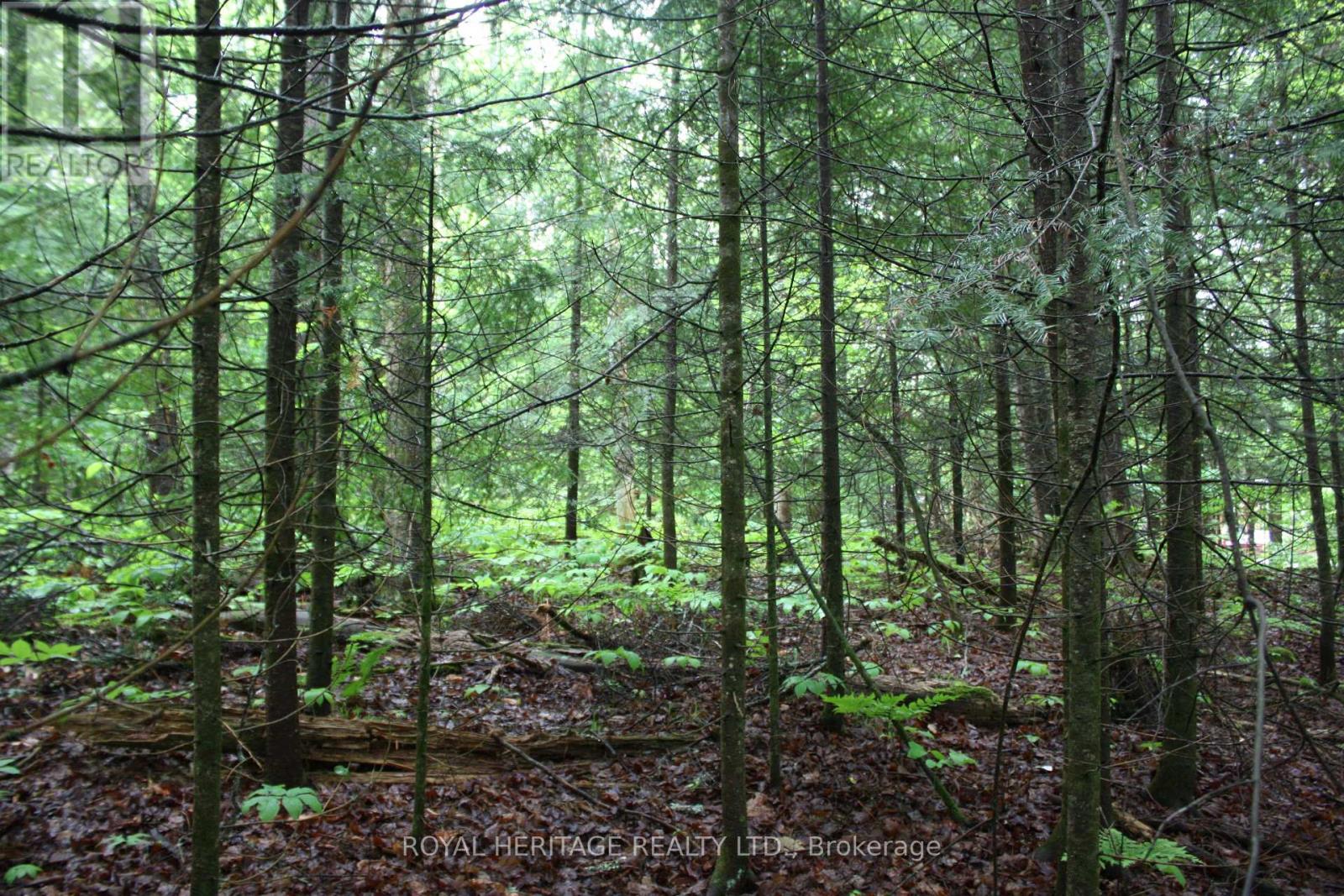 0 Quarry Road, Bancroft (Dungannon Ward), Ontario  K0L 1C0 - Photo 2 - X12255821