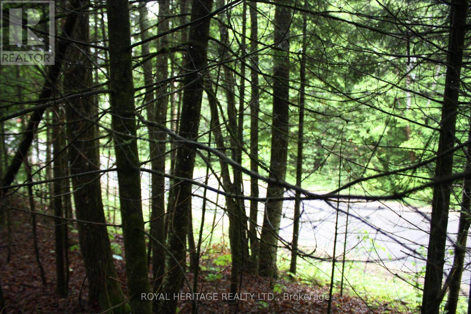 0 Quarry Road, Bancroft (Dungannon Ward), Ontario  K0L 1C0 - Photo 3 - X12255821