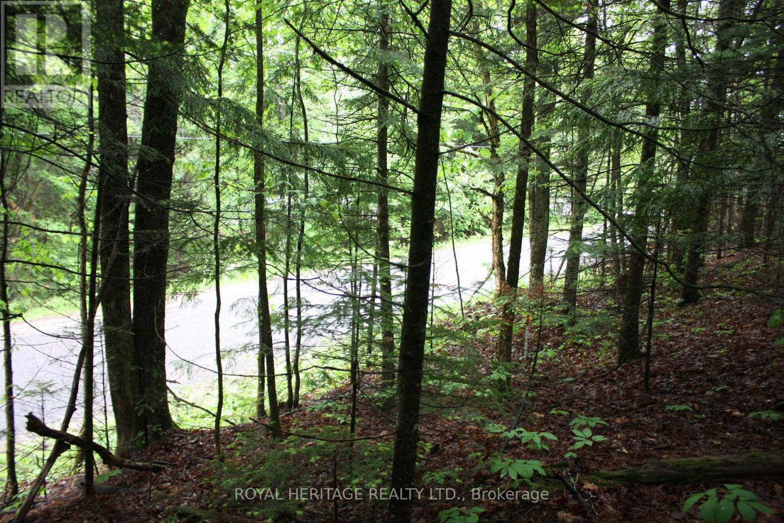 0 Quarry Road, Bancroft (Dungannon Ward), Ontario  K0L 1C0 - Photo 5 - X12255821