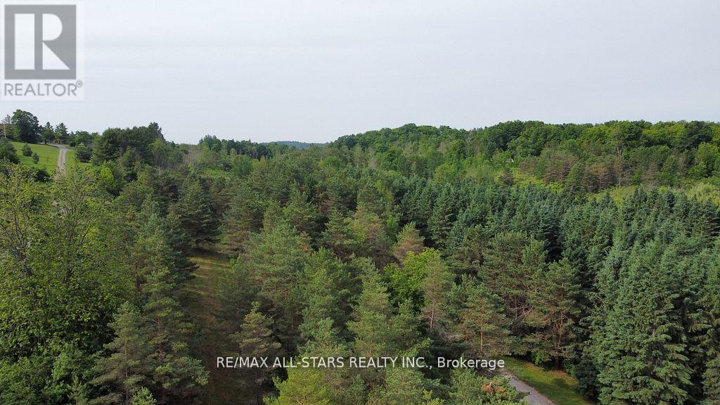 283 Bland Line, Cavan Monaghan (Cavan Twp), Ontario  L0A 1C0 - Photo 16 - X12256480